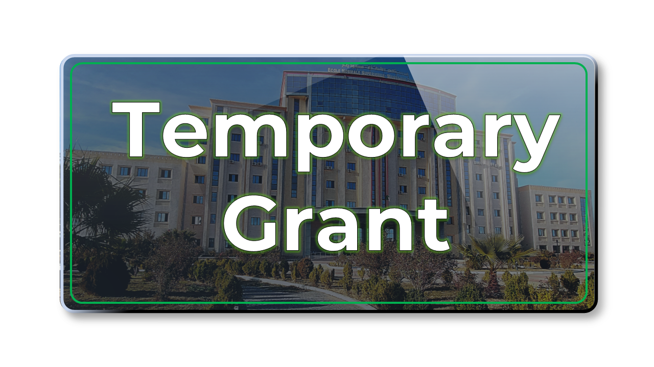 Temporary grant for Consultation No. 08-2026