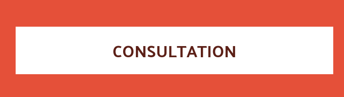 Consultation No. 28-2023 : Installation and Operation of IT Equipment for Digitization 