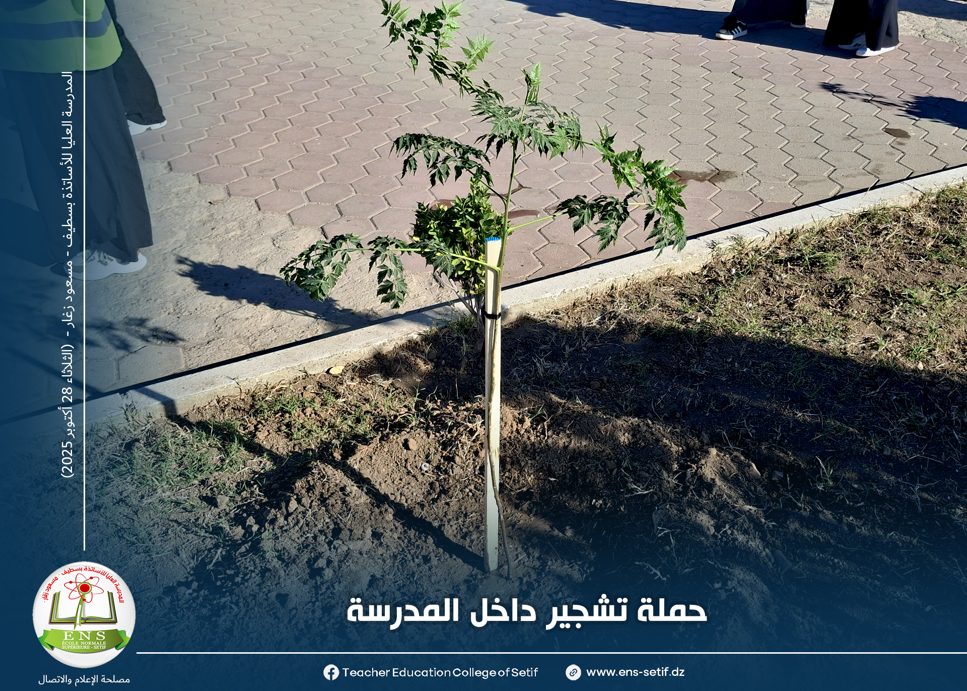 حملة تشجير داخل محيط المدرسة